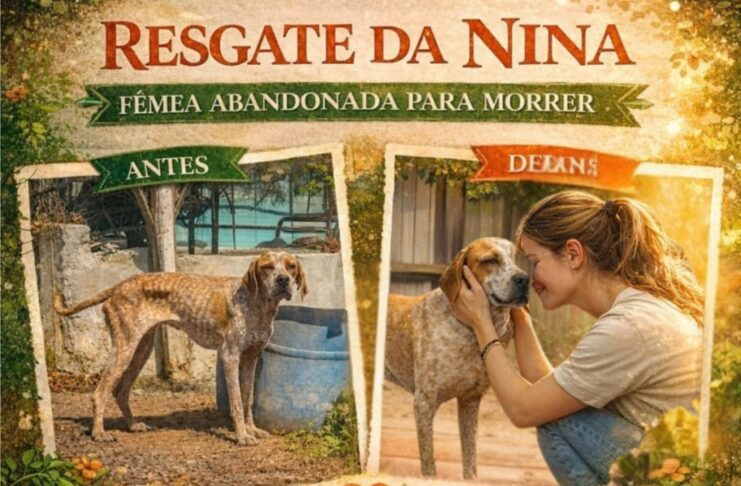 RESGATE DA NINA