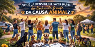 Você já pensou em fazer parte da linha de frente da causa animal?