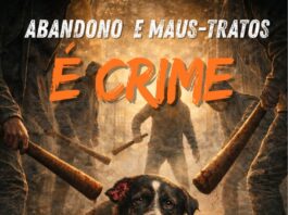 ABANDONO E MAUS-TRATOS É CRIME