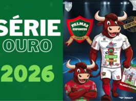 Palmas Esportes confirma retorno à Série Ouro do Futsal Paranaense