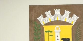 Após firme e forte sustentação do Dr. Eduardo Tobera, vereadores de Palmas aprovam as contas de Dr. Kosmos Panayotis Nicolaou