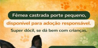 APP ANIMAL