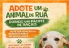 ADOTE UM ANIMAL DE RUA DOANDO UM PACOTE DE RAÇÃO