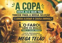 APP ANIMAL
