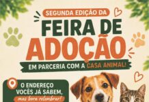 FEIRA DE ADOÇÃO