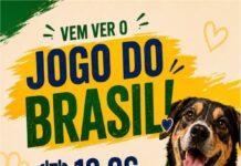 VEM VER O JOGO DO BRASIL!