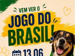 VEM VER O JOGO DO BRASIL!
