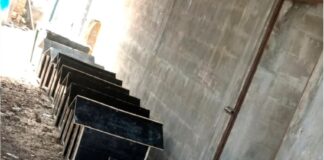 Solidariedade que aquece: empresas unem forças com ONG e DEPEN para construção de casinhas a cães de rua em Palmas
