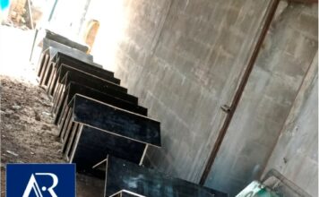 Solidariedade que aquece: empresas unem forças com ONG e DEPEN para construção de casinhas a cães de rua em Palmas