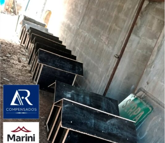 Solidariedade que aquece: empresas unem forças com ONG e DEPEN para construção de casinhas a cães de rua em Palmas