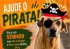 AJUDE O PIRATA!