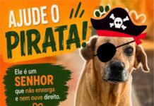 AJUDE O PIRATA!