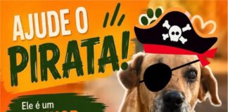 AJUDE O PIRATA!