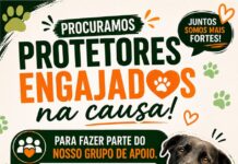 PROCURAMOS PROTETORES PARA FAZER PARTE DO NOSSO GRUPO DE APOIO