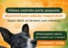 APP ANIMAL