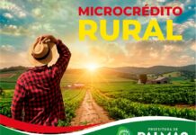 Palmas lança Linha de Microcrédito Rural da Fomento Paraná no dia 25 de setembro