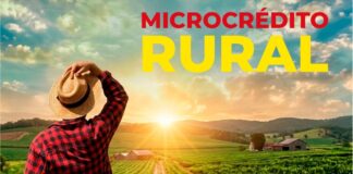 Palmas lança Linha de Microcrédito Rural da Fomento Paraná no dia 25 de setembro
