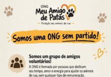 ONG MEU AMIGO DE PATAS