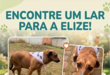 PROCURA – SE UM LAR