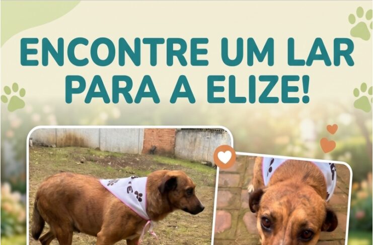 PROCURA – SE UM LAR