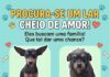 PROCURA-SE UM LAR
