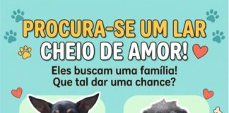 PROCURA-SE UM LAR