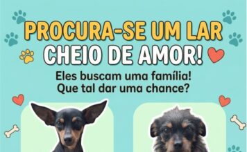PROCURA-SE UM LAR