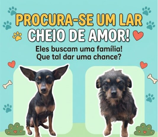 PROCURA-SE UM LAR