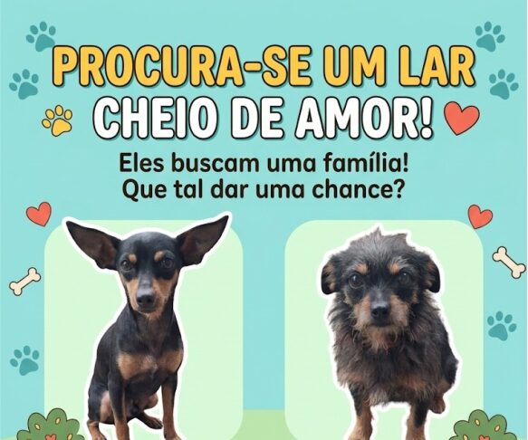 PROCURA-SE UM LAR