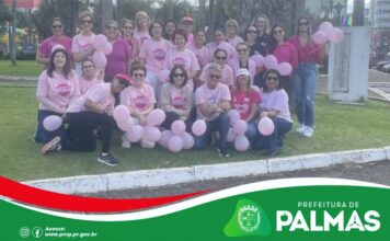Outubro Rosa: Prefeitura de Palmas e Rede Feminina de Combate ao Câncer promovem ações de conscientização e Caminhada pela Vida